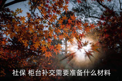 社保柜臺(tái)繳費(fèi),單位社保柜臺(tái)繳費(fèi)需要什么手續(xù)...